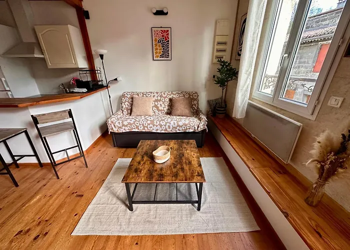 De Garonne - Face A Bordeaux Appartement