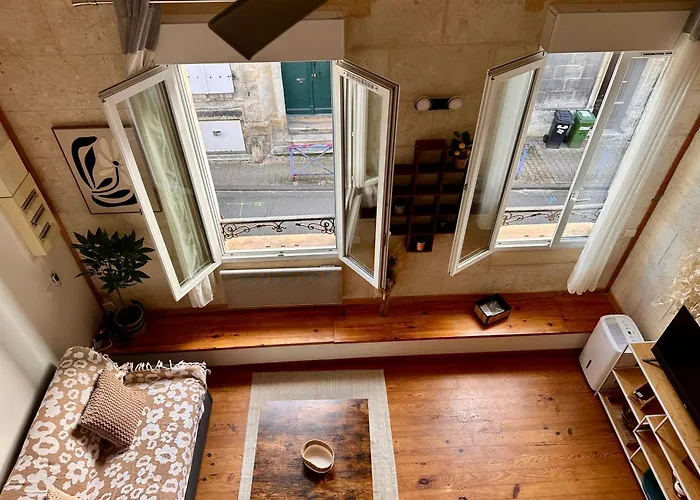 De Garonne - Face A Bordeaux Appartement