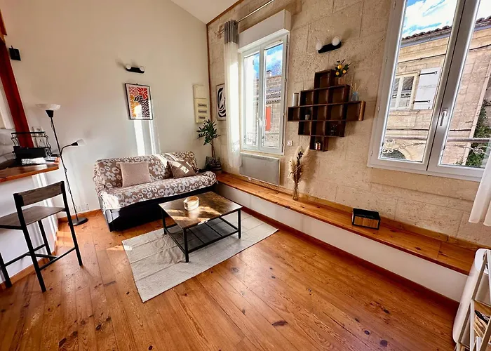 Appartement De Garonne - Face A Bordeaux *
